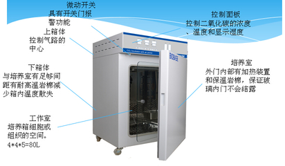 QP-80二氧化碳培养箱价格容积80L_二氧化碳培养箱,二氧化碳培养箱价格_供应信息_中国化工仪器网